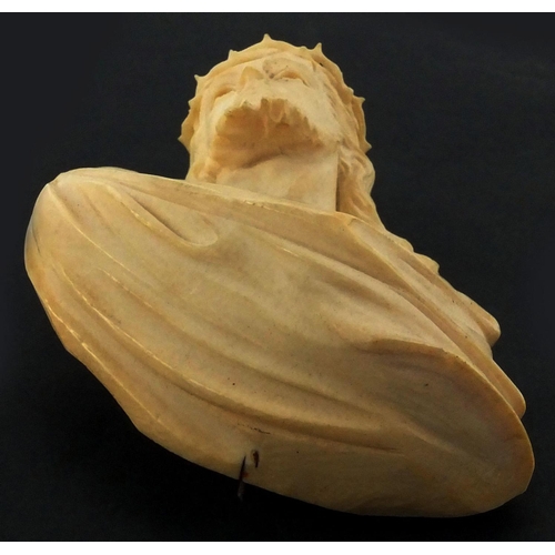 73 - Finely carved ivory bust of Christ, 10cm high