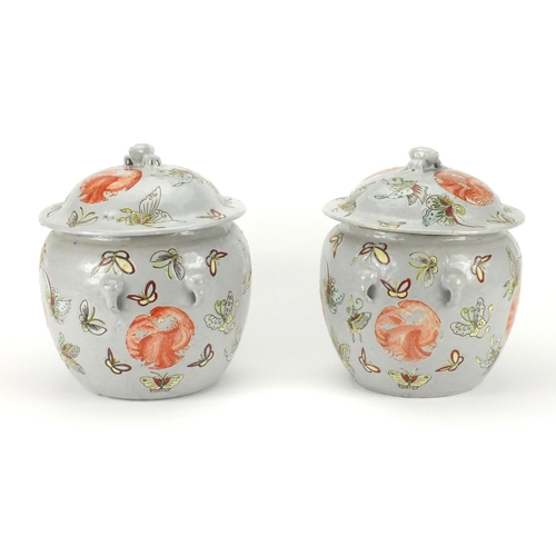 2228 - Pair of Chinese porcelain jars and covers, both hand painted with butterflies amongst roundels of Ph... 