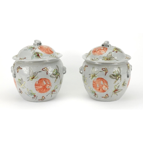 2228 - Pair of Chinese porcelain jars and covers, both hand painted with butterflies amongst roundels of Ph... 