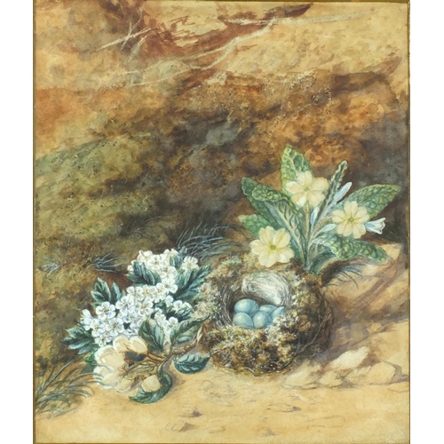 23 - Watercolour on card, birds nest with eggs amongst flowers, gilt mounted and framed, 30cm x 26cm excl... 