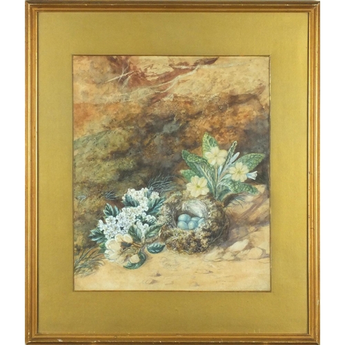 23 - Watercolour on card, birds nest with eggs amongst flowers, gilt mounted and framed, 30cm x 26cm excl... 