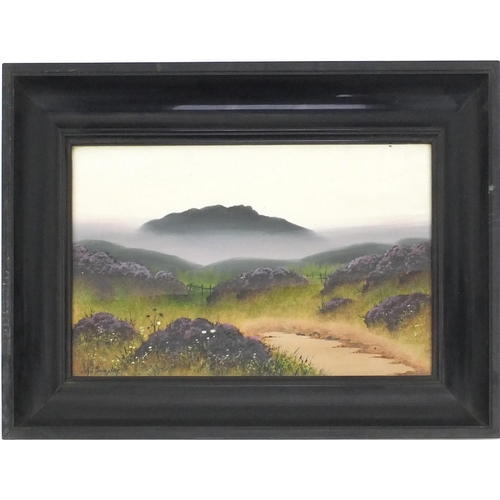 60 - Gouache onto card, landscape, bearing a signature John Sunpter, framed, 44cm x 27cm excluding the fr... 