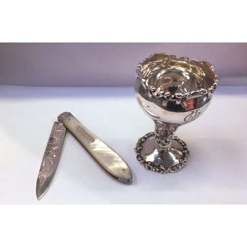 77a - Mother of pearl and silver fruit knife by Waterhouse Hodsen & Co, Sheffield 1863 with finely decorat... 