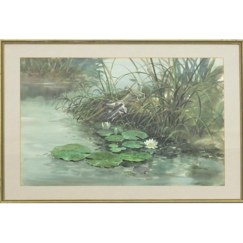 169 - Watercolour on card, ducks taking flight in a pond, bearing a signature Vasan? 84, mounted and frame... 