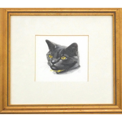 345 - Watercolour on card, cat portrait, bearing a monogram SM 1999, mounted and framed, 17cm x 15cm