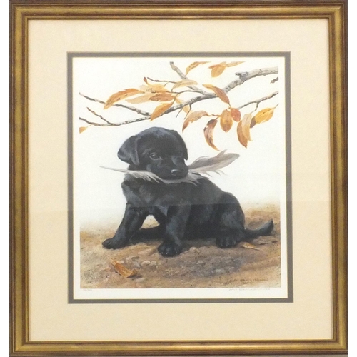 91 - Amy Brackenbury, pencil signed limited edition print, puppy with a feather, number 182/950, mounted ... 