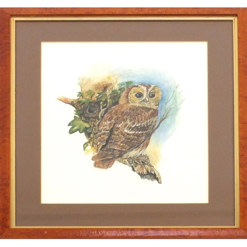 92 - Watercolour on card, Tawny Owl on a branch, bearing a signature A.Déle, mounted and framed, 42cm x 3... 