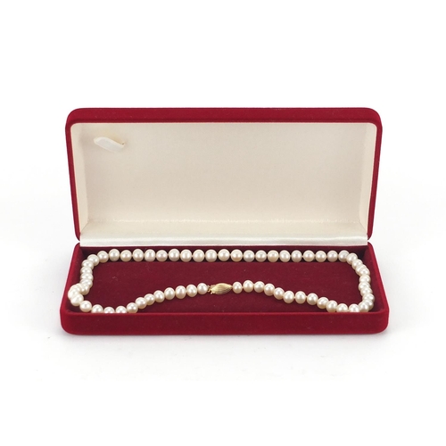 244 - Single string cultured pearl necklace with 9ct gold clasp, 40cm L