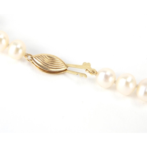 244 - Single string cultured pearl necklace with 9ct gold clasp, 40cm L