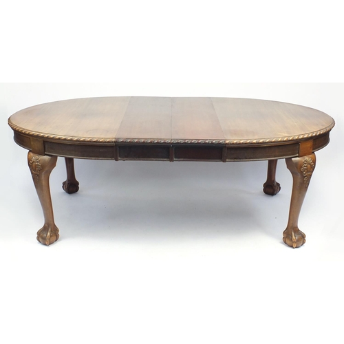 16 - Victorian mahogany oval wind out dining table with two extra leaves, raised on cabriole legs and bal... 