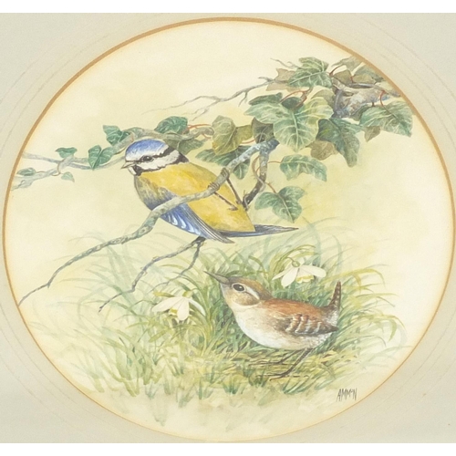 409 - Margo Ammon Bailey, watercolour, garden birds, mounted and framed, 23cm x 17cm