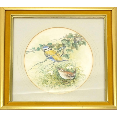 409 - Margo Ammon Bailey, watercolour, garden birds, mounted and framed, 23cm x 17cm