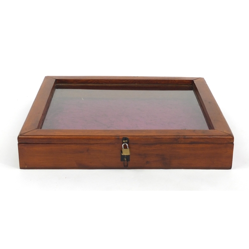 67 - Stained pine glazed display case, 10cm x 56cm x 51cm