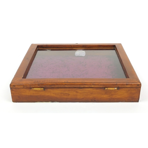 67 - Stained pine glazed display case, 10cm x 56cm x 51cm