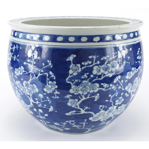 270 - Chinese blue and white porcelain jardinière hand painted with Prunus flowers, blue under glazed ring... 