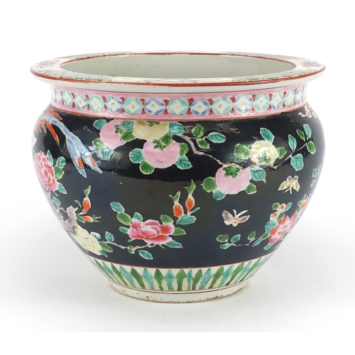 257 - Chinese porcelain jardinière, hand painted in the famille noir palette with flowers and fruit, 19cm ... 