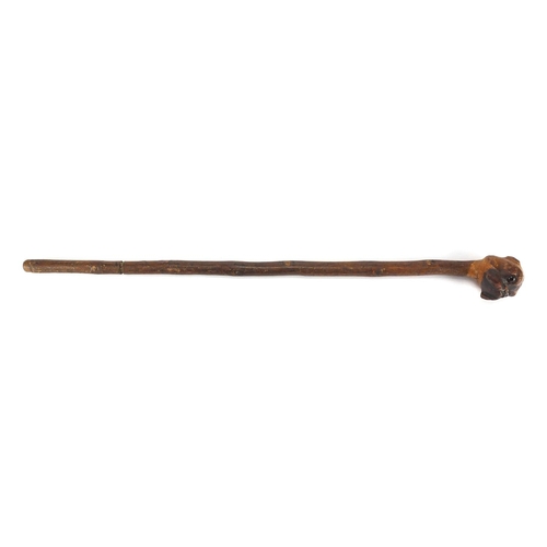 30 - Wooden shillelagh carved with a bulldogs head set with beaded eyes, 62cm in length