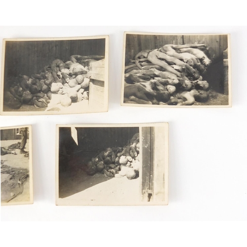 203 - Five World War II Belsen POW Camp black and white photographs, each depicting corpses and tortured p... 