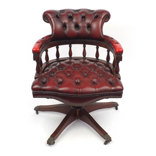 2024 - Mahogany framed ox blood leather button back captains chair with brass paw feet, 80cm high
