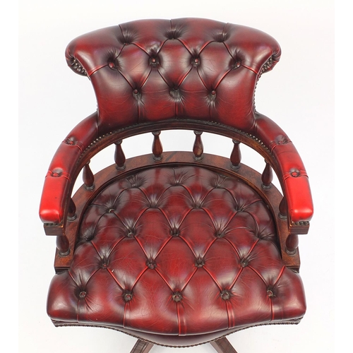 2024 - Mahogany framed ox blood leather button back captains chair with brass paw feet, 80cm high