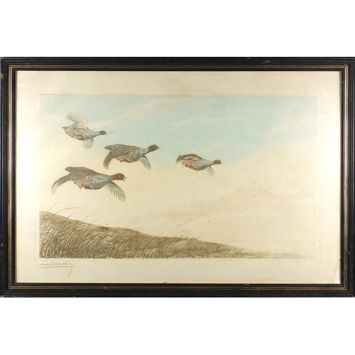 95 - Leon Danchin signed coloured etching, game birds in flight, framed, 67cm x 43cm