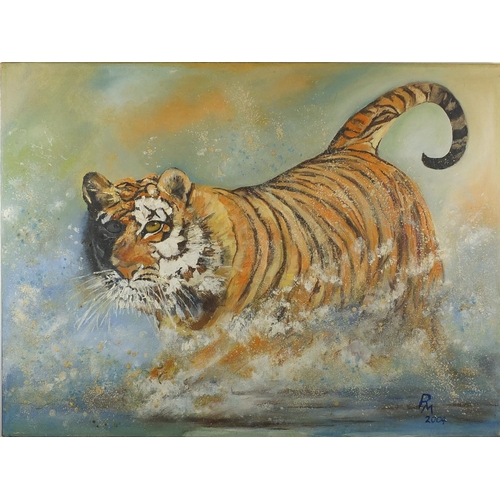 23 - Robert Mariaoe - Tiger Tiger Burning Bright, oil onto canvas, unframed, 61cm x 46cm