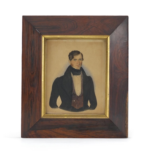 15 - Rectangular hand painted portrait of a gentleman wearing a cravat, housed in a rosewood frame, 13cm ... 