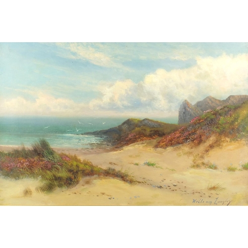 1386 - William Langley - Sand dunes coastal scene, oil onto canvas, mounted and framed, 60cm x 39cm