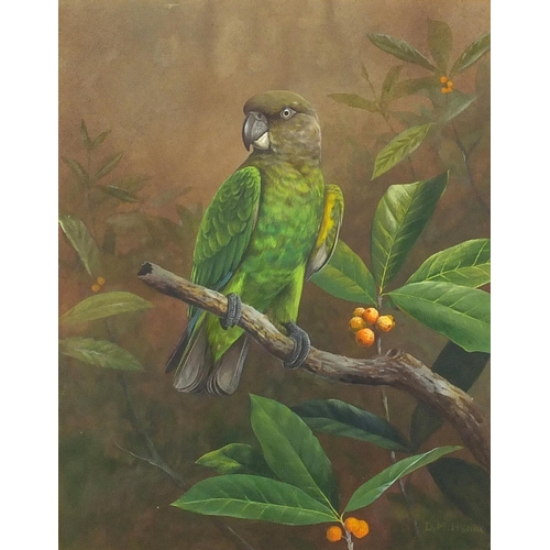 1173 - David Reid Henry - Parrot sat on a branch, watercolour onto card, mounted and framed, 28.5cm x 22cm