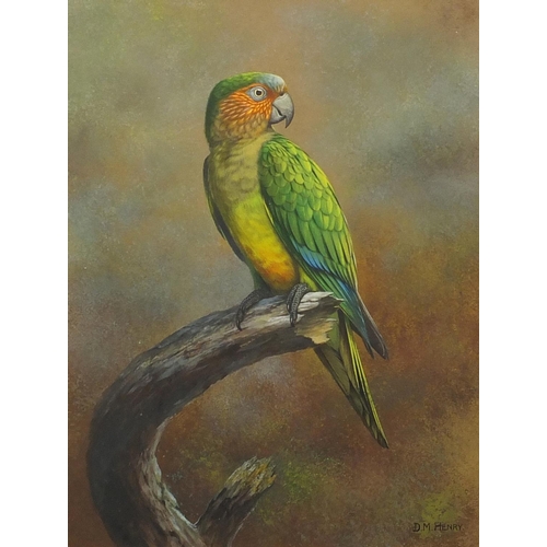 1174 - David Reid Henry - Parrot sat on a branch, watercolour onto card, mounted and framed, 18cm x 21.5cm