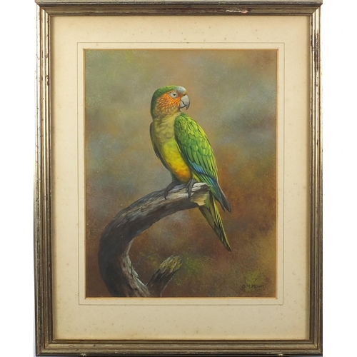 1174 - David Reid Henry - Parrot sat on a branch, watercolour onto card, mounted and framed, 18cm x 21.5cm