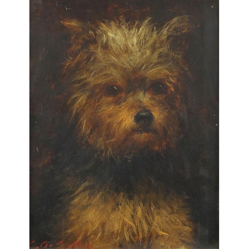 1190 - C A Sellar - Portrait of a Yorkshire Terrier, 19th century oil onto canvas, mounted and framed, 22.5... 