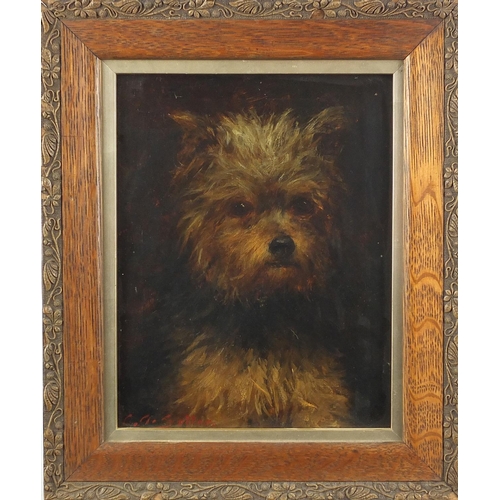 1190 - C A Sellar - Portrait of a Yorkshire Terrier, 19th century oil onto canvas, mounted and framed, 22.5... 