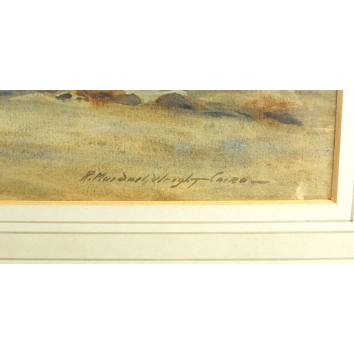 1226 - Robert Murdoch Wright - Cairo landscape, watercolour onto card, labels verso, mounted and framed, 50... 