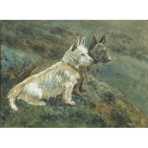 1201 - Two Scotty dogs, 19th century heightened watercolour, label verso, mounted and framed, 19cm x 14cm