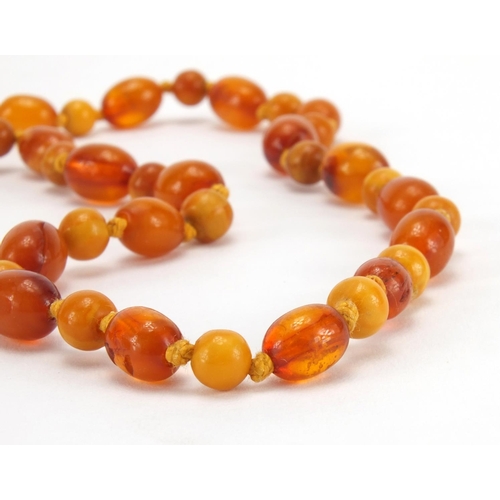 1055 - Natural and butterscotch amber coloured bead necklace, 80cm in length, approximate weight 40.5g