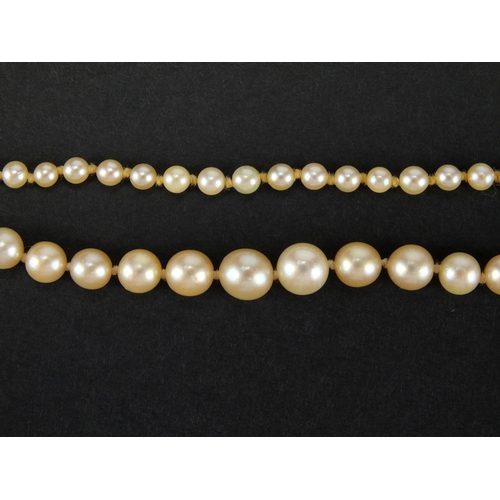 1052 - Single string pearl necklace, 84cm in length, approximate weight 22.5g