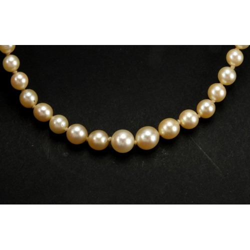 1052 - Single string pearl necklace, 84cm in length, approximate weight 22.5g