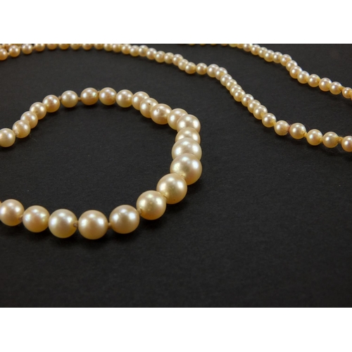 1052 - Single string pearl necklace, 84cm in length, approximate weight 22.5g