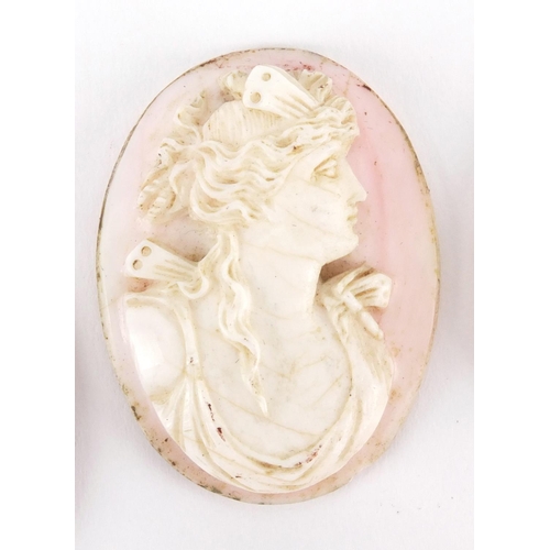 1031 - Four Victorian and later carved cameo panels, the largest 5cm in length