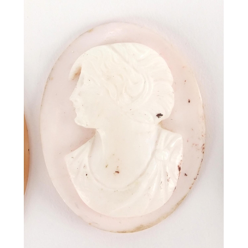 1031 - Four Victorian and later carved cameo panels, the largest 5cm in length