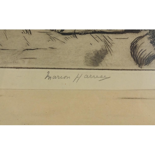 1433 - Marion Harvey - Recumbent Colie dog, pencil signed black and white etching, part label verso, mounte... 