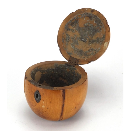 48 - Fruitwood tea caddy of apple form with metal escutcheon and remnants of lining to the interior, 13cm... 