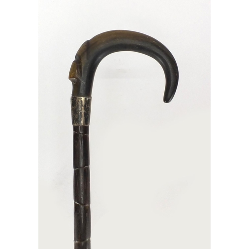 129 - Horn handed bamboo walking stick with silver collar, possibly rhino horn, 87cm in length