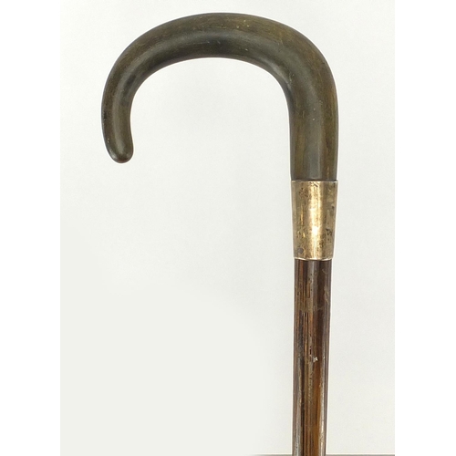 128 - Horn handled exotic wood walking stick with silver collar, possibly rhino horn, 83cm  in length
