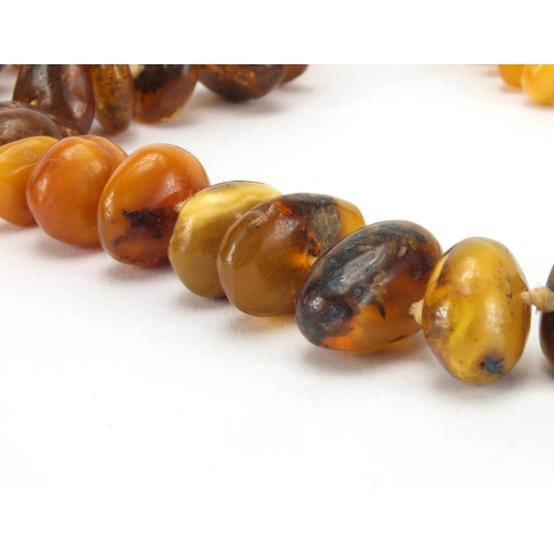 1056 - Natural and Baltic amber necklace and pair of silver amber earrings, the necklace 72cm in length, ap... 