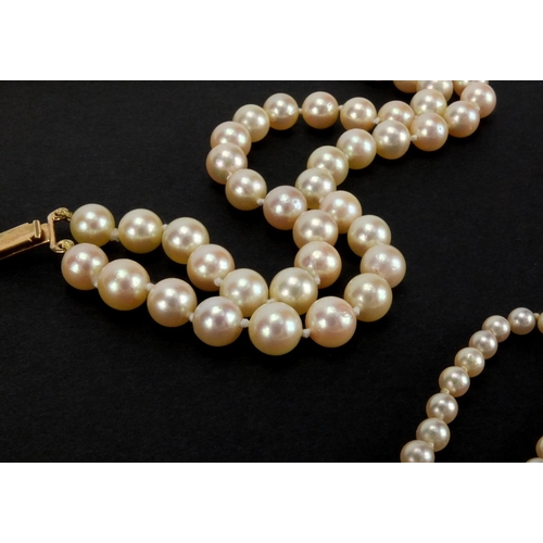 1048 - Three pearl necklaces with gold clasps, one set with sapphires, the largest 90cm in length, approxim... 