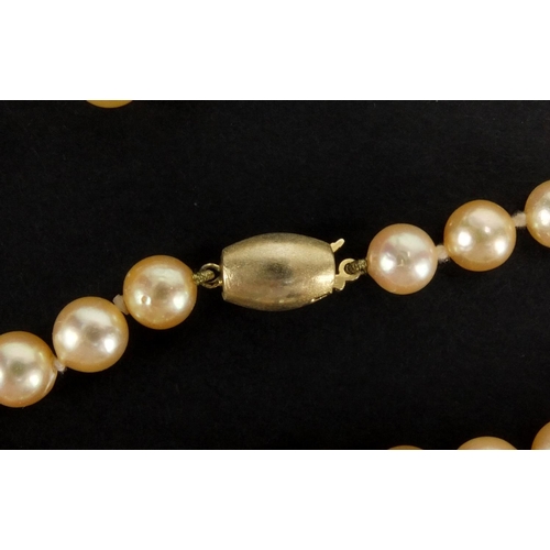 1048 - Three pearl necklaces with gold clasps, one set with sapphires, the largest 90cm in length, approxim... 