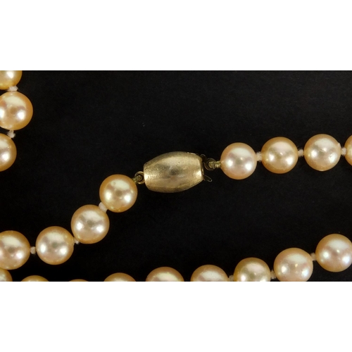 1048 - Three pearl necklaces with gold clasps, one set with sapphires, the largest 90cm in length, approxim... 