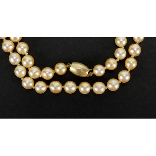 1048 - Three pearl necklaces with gold clasps, one set with sapphires, the largest 90cm in length, approxim... 